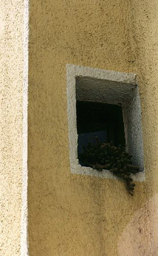 Fenster
